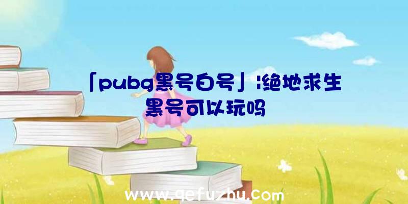 「pubg黑号白号」|绝地求生黑号可以玩吗